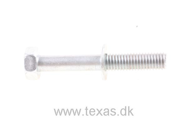 Bolt 8x55