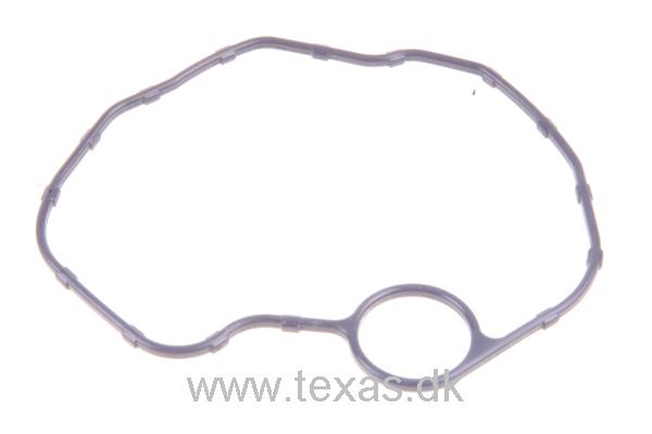 Texas Pakning