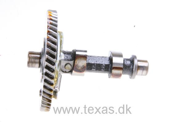 Texas Knastaksel