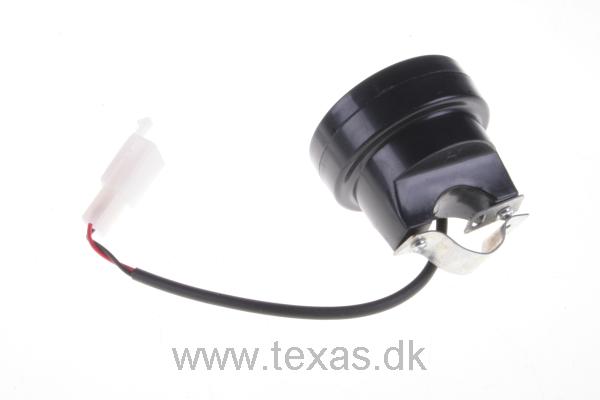 Texas Horn